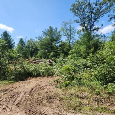 20230818 133207 scaled 20230818 133207 scaled