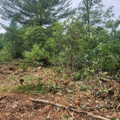 20230829 121655 scaled 20230829 121655 scaled