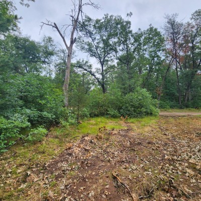 20230829 121733 scaled 20230829 121733 scaled