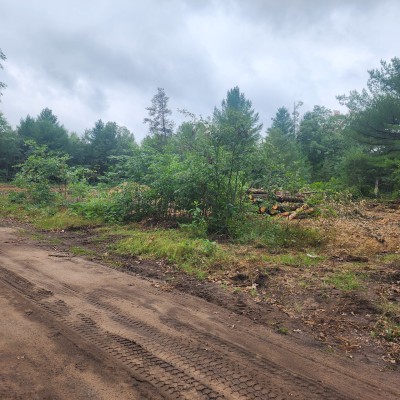 20230829 121802 scaled 20230829 121802 scaled