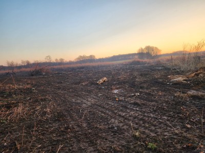 20231208 082121 scaled 20231208 082121 scaled