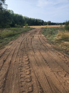 20240910 174321 scaled 20240910 174321 scaled