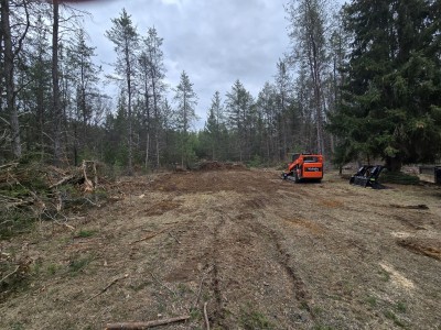 20250319 171550 1 scaled 20250319 171550 1 scaled